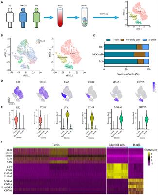 Single-Cell Transcriptome Profiling Unravels Distinct Peripheral Blood Immune Cell Signatures of RRMS and MOG Antibody-Associated Disease